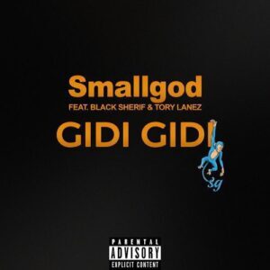 Smallgod ft Black Sherif & Tory Lanez - Gidi Gidi Instrumental
